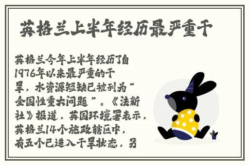 灯草和尚在线观看